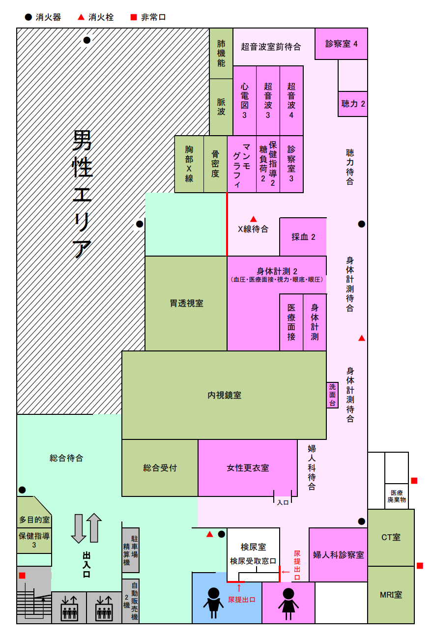 フロアマップ（斜線部分は男性エリア）