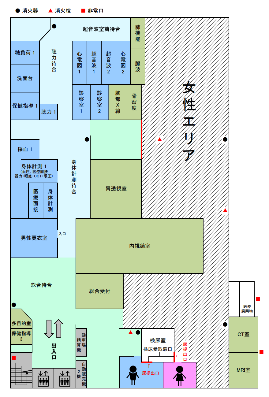 フロアマップ（斜線部分は女性エリア）